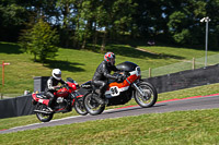 Vintage-motorcycle-club;eventdigitalimages;mallory-park;mallory-park-trackday-photographs;no-limits-trackdays;peter-wileman-photography;trackday-digital-images;trackday-photos;vmcc-festival-1000-bikes-photographs